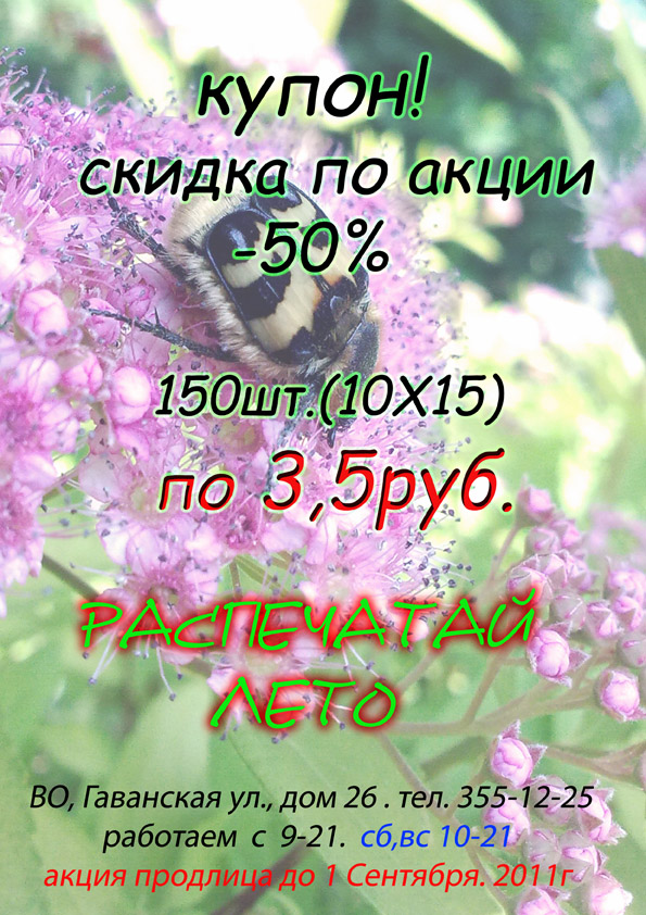 «Без названия»