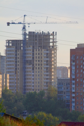 «Без названия»