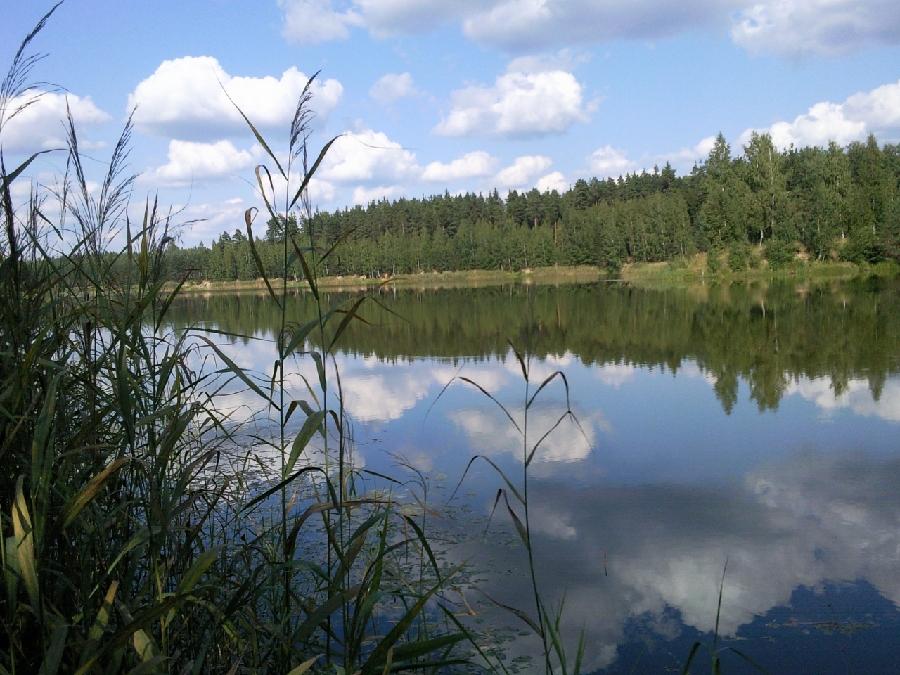 «Тишина»