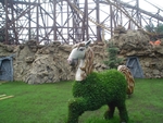 Без названия