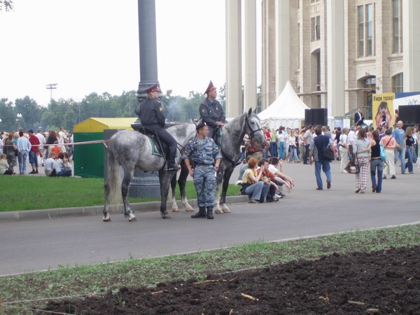 «Лужа»