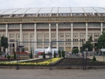 Лужники