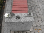 Роза