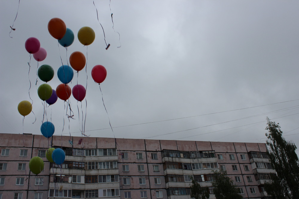 «Без названия»