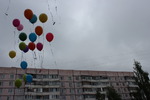 Без названия
