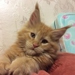 Уникум в детстве