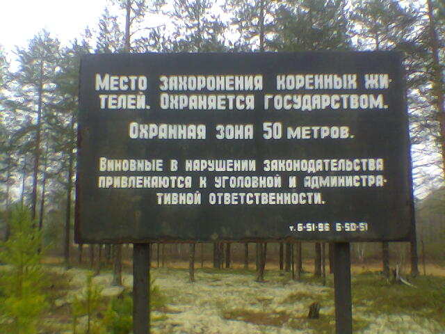 «Без названия»