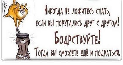 «Без названия»