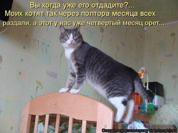 «Без названия»
