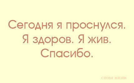 «Без названия»