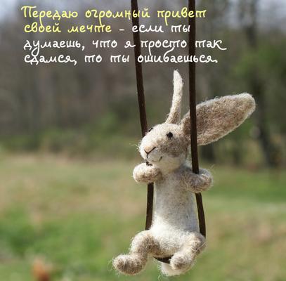 «Без названия»