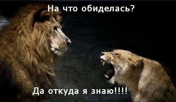 «Без названия»