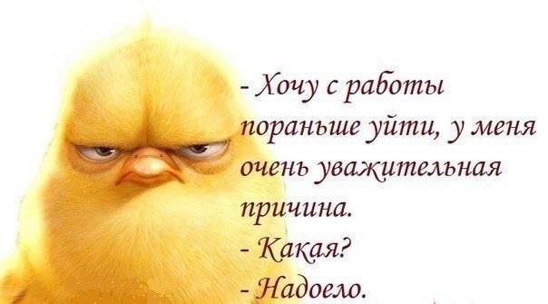 «Без названия»