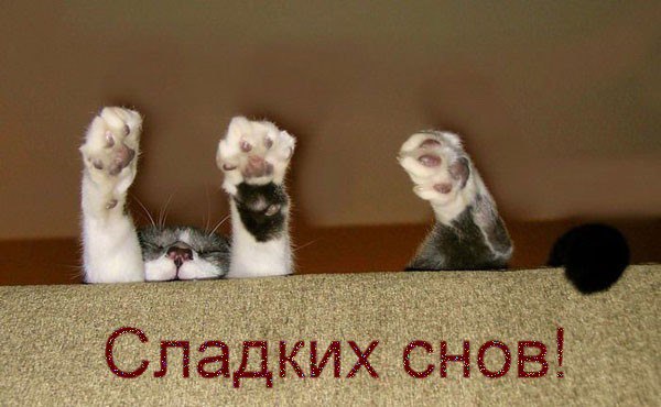 «Без названия»