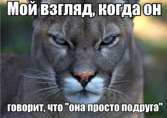 «Без названия»