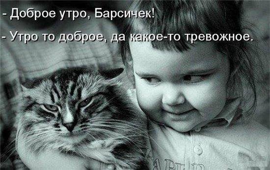 «Без названия»