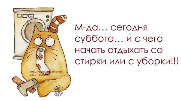 «Без названия»
