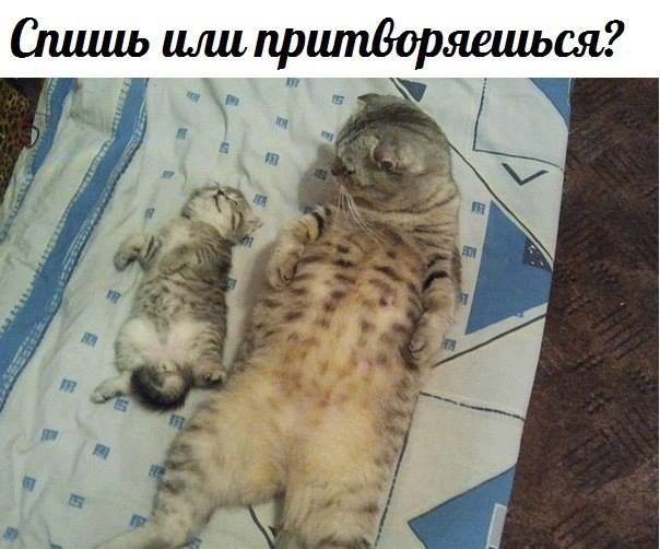 «Без названия»