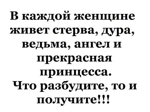 «Без названия»
