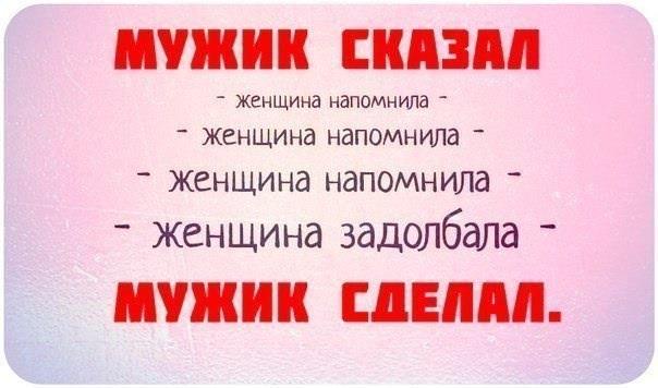 «Без названия»
