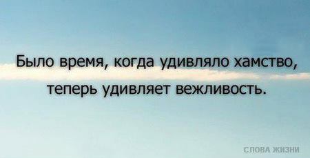 «Без названия»