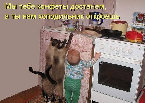 «Без названия»