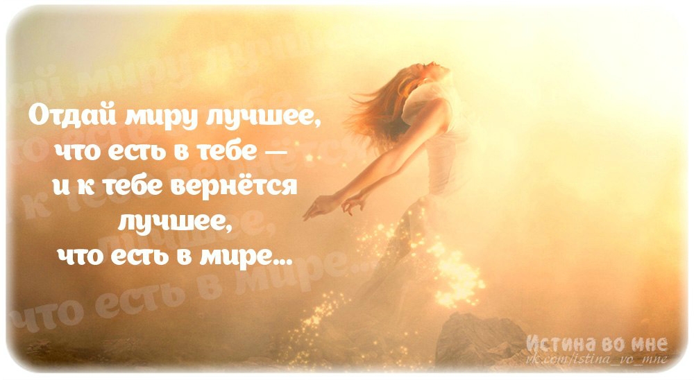 «Без названия»