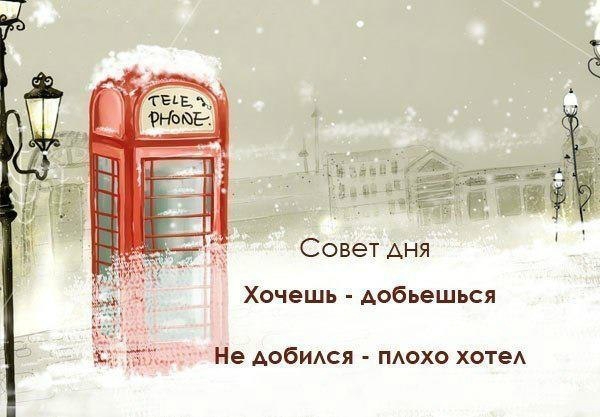 «Без названия»