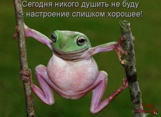 «Без названия»