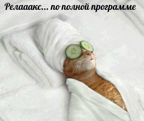 «Без названия»