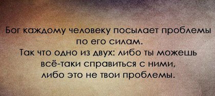 «Без названия»