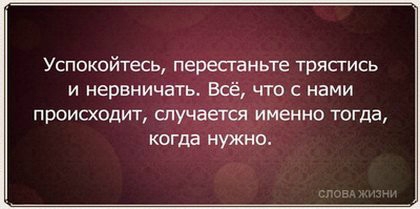 «Без названия»
