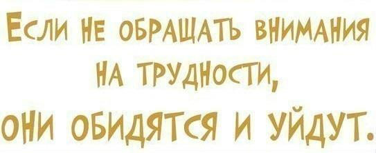 «Без названия»