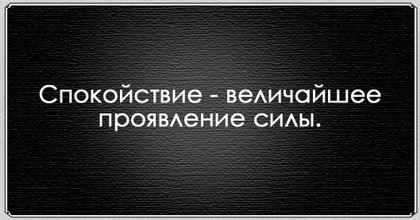 «Без названия»
