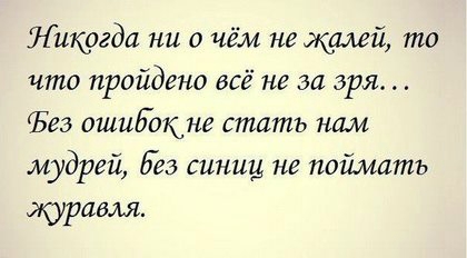«Без названия»