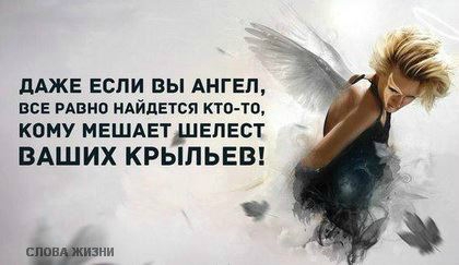 «Без названия»