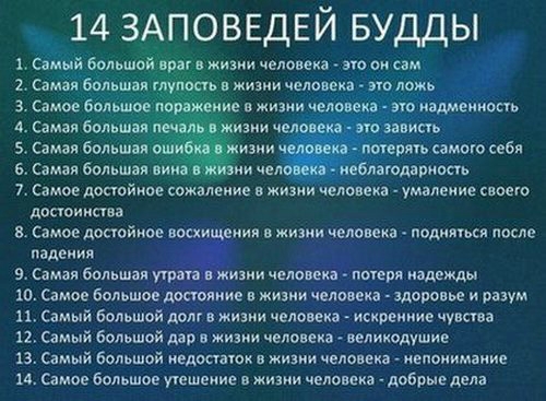 «Без названия»