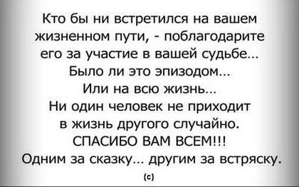 «Без названия»
