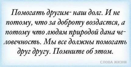 «Без названия»