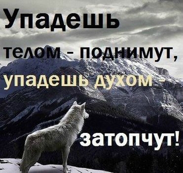«Без названия»