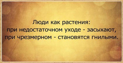 «Без названия»