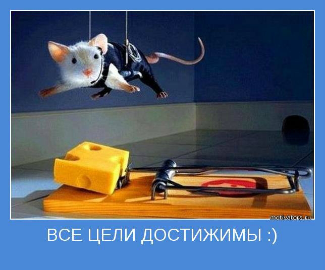 «Без названия»