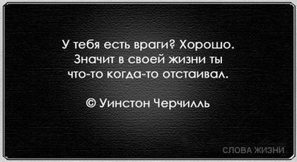 «Без названия»