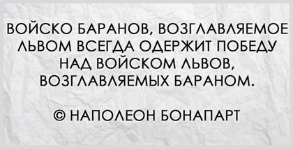 «Без названия»