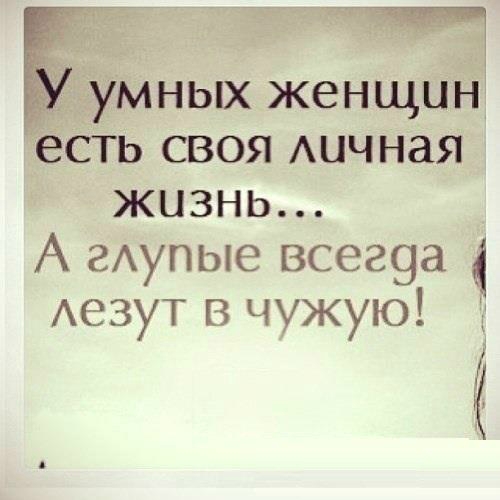 «Без названия»