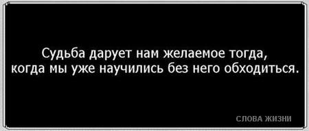 «Без названия»