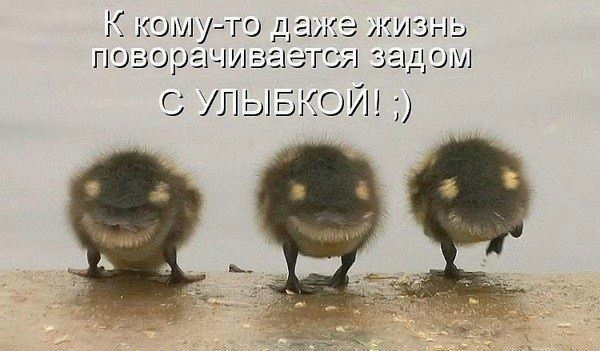 «Без названия»
