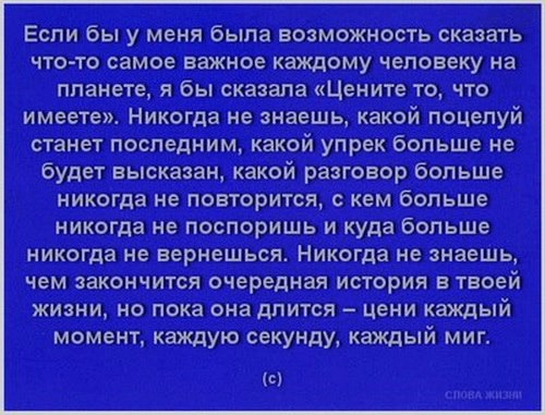 «Без названия»