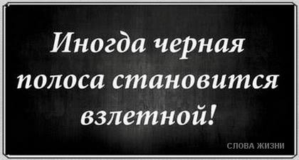 «Без названия»