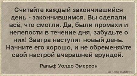 «Без названия»